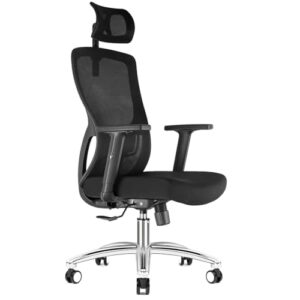 Chaise de Bureau Durrafy Ergonomique avec Accoudoirs et Appuie-Tête Réglables