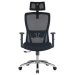 Chaise de Bureau Durrafy Ergonomique avec Accoudoirs et Appuie-Tête Réglables