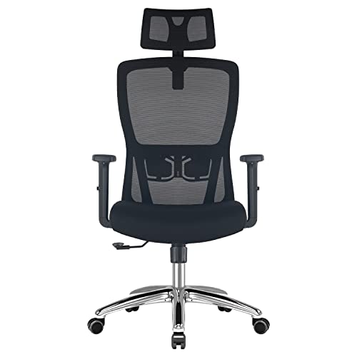 Chaise de Bureau Durrafy Ergonomique avec Accoudoirs et Appuie-Tête Réglables