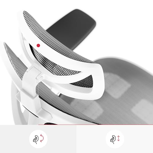 Chaise de Bureau Ergonomique Diablo V-Basic avec Accoudoirs 3D et Dossier Réglable