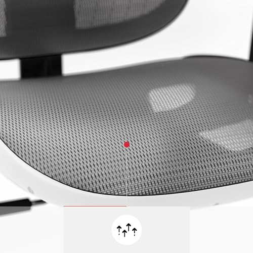 Chaise de Bureau Ergonomique Diablo V-Basic avec Accoudoirs 3D et Dossier Réglable
