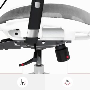 Chaise de Bureau Ergonomique Diablo V-Basic avec Accoudoirs 3D et Dossier Réglable