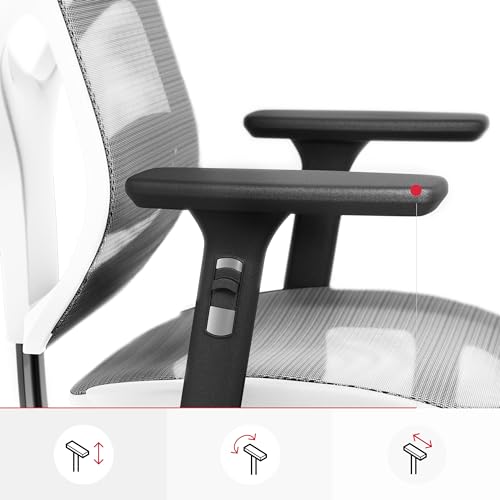 Chaise de Bureau Ergonomique Diablo V-Basic avec Accoudoirs 3D et Dossier Réglable