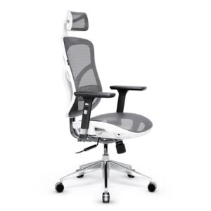 Chaise de Bureau Ergonomique Diablo V-Basic avec Accoudoirs 3D et Dossier Réglable