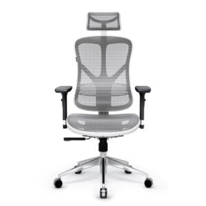 Chaise de Bureau Ergonomique Diablo V-Basic avec Accoudoirs 3D et Dossier Réglable