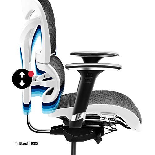 Chaise de Bureau Ergonomique Diablo V-Commander avec Accoudoirs 3D et Soutien Lombaire