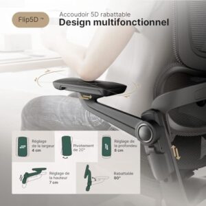 Chaise de Bureau Ergonomique HINOMI H1 Pro V2 avec Repose Pied et Accoudoirs 5D