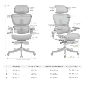 Chaise de Bureau Ergonomique HINOMI H1 Pro V2 avec Repose Pied et Accoudoirs 5D