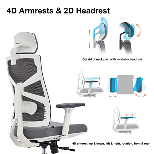 Chaise de Bureau Ergonomique HOLLUDLE avec Dossier Adaptable et Accoudoirs 4D