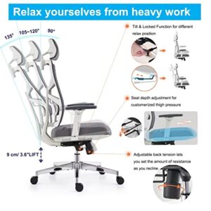 Chaise de Bureau Ergonomique HOLLUDLE avec Dossier Adaptable et Accoudoirs 4D