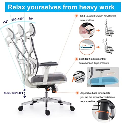 Chaise de Bureau Ergonomique HOLLUDLE avec Dossier Adaptable et Accoudoirs 4D