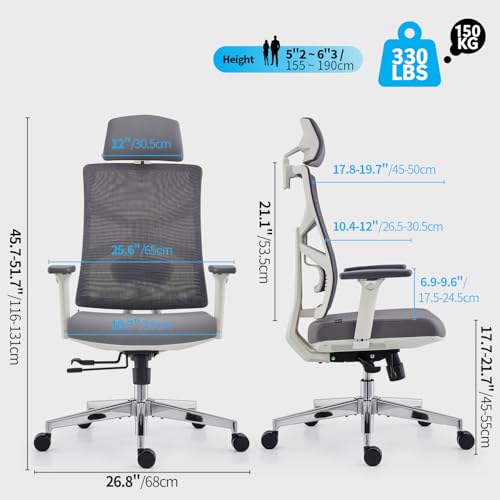 Chaise de Bureau Ergonomique HOLLUDLE avec Dossier Adaptable et Accoudoirs 4D