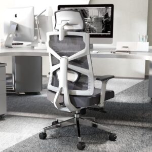 Chaise de Bureau Ergonomique HOLLUDLE avec Dossier Adaptable et Accoudoirs 4D