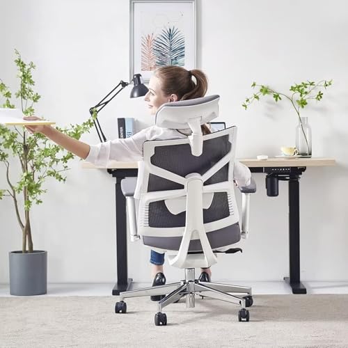 Chaise de Bureau Ergonomique HOLLUDLE avec Dossier Adaptable et Accoudoirs 4D