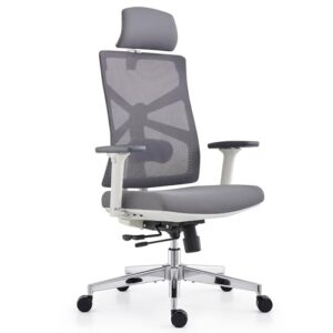 Chaise de Bureau Ergonomique HOLLUDLE avec Dossier Adaptable et Accoudoirs 4D