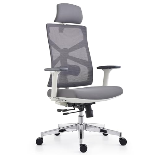 Chaise de Bureau Ergonomique HOLLUDLE avec Dossier Adaptable et Accoudoirs 4D