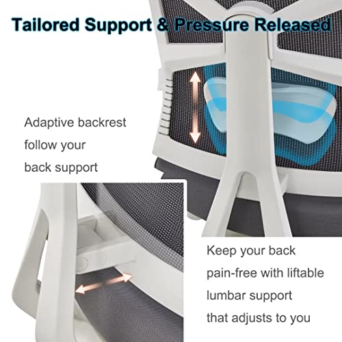 Chaise de Bureau Ergonomique HOLLUDLE avec Dossier Adaptable et Accoudoirs 4D
