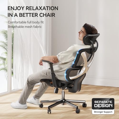 Chaise de Bureau Ergonomique NOBLEWELL avec Support Lombaire et Accoudoirs 3D