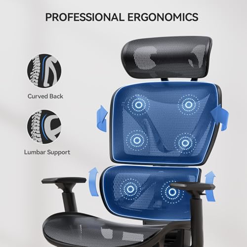 Chaise de Bureau Ergonomique NOBLEWELL avec Support Lombaire et Accoudoirs 3D