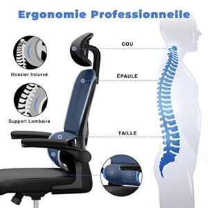 Chaise de Bureau Ergonomique Noir avec Support Lombaire et Dossier Réglable