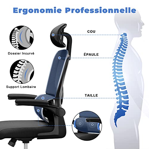 Chaise de Bureau Ergonomique Noir avec Support Lombaire et Dossier Réglable