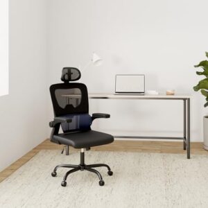 Chaise de Bureau Ergonomique Noir avec Support Lombaire et Dossier Réglable