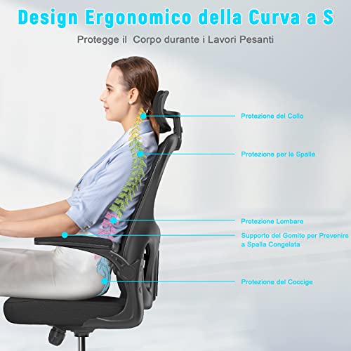 Chaise de Bureau Naspaluro Ergonomique avec Soutien Lombaire et Accoudoirs Réglables