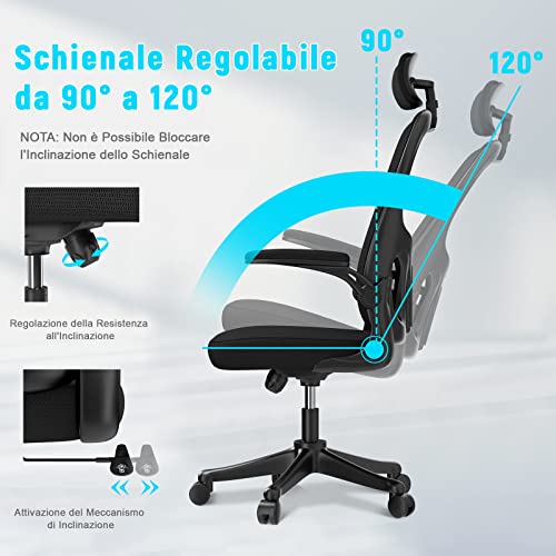 Chaise de Bureau Naspaluro Ergonomique avec Soutien Lombaire et Accoudoirs Réglables