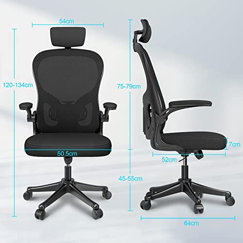 Chaise de Bureau Naspaluro Ergonomique avec Soutien Lombaire et Accoudoirs Réglables