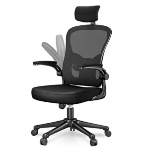 Chaise de Bureau Naspaluro Ergonomique avec Soutien Lombaire et Accoudoirs Réglables