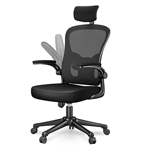 Chaise de Bureau Naspaluro Ergonomique avec Soutien Lombaire et Accoudoirs Réglables