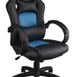 Chaise de Gaming Predator Rift Essential avec Accoudoirs Réglables et Coussin Lombaire