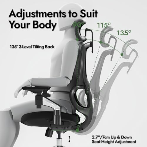 Chaise de bureau ergonomique LarkLeaves avec accoudoirs 4D et soutien lombaire