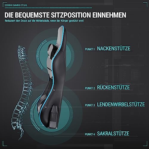 Dowinx Chaise Gaming Ergonomique Gris avec Accoudoirs 4D et Repose-Pieds