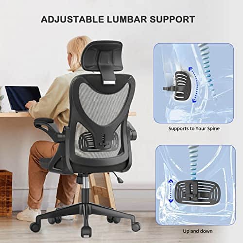 Fauteuil de Bureau Ergonomique Noir avec Support Lombaire et Accoudoirs Réglables