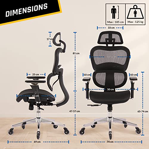 KLIM K800 : Chaise de Bureau Ergonomique avec Support Lombaire et Accoudoirs 4D