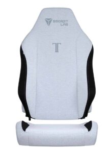 Les 5 Meilleurs Skins Secretlab (2025) : Mon avis sur ces housses