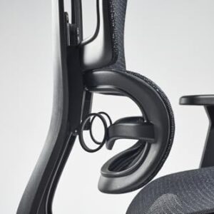 Paradox Ergo One : Chaise de Bureau Ergonomique Noir avec Repose-Pieds