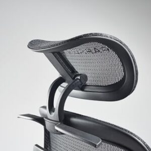 Paradox Ergo One : Chaise de Bureau Ergonomique Noir avec Repose-Pieds