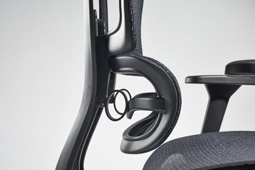 Paradox Ergo One : Chaise de Bureau Ergonomique Noir avec Repose-Pieds