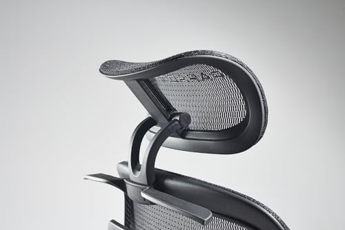 Paradox Ergo One : Chaise de Bureau Ergonomique Noir avec Repose-Pieds