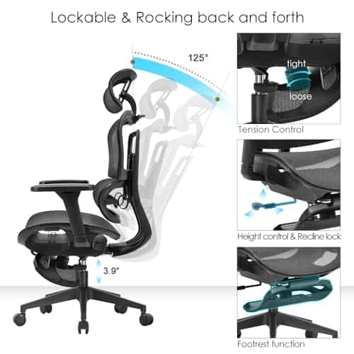 Paradox Ergo One : Chaise de Bureau Ergonomique Noir avec Repose-Pieds