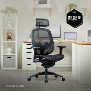 Razer Fujin Pro : Chaise Gaming Confortable avec Support Lombaire Noir