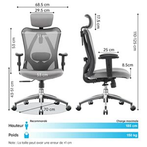 SIHOO Chaise de Bureau Ergonomique avec Appui-tête et Soutien Lombaire (Gris)