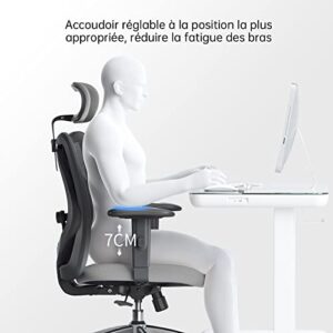 SIHOO Chaise de Bureau Ergonomique avec Appui-tête et Soutien Lombaire (Gris)