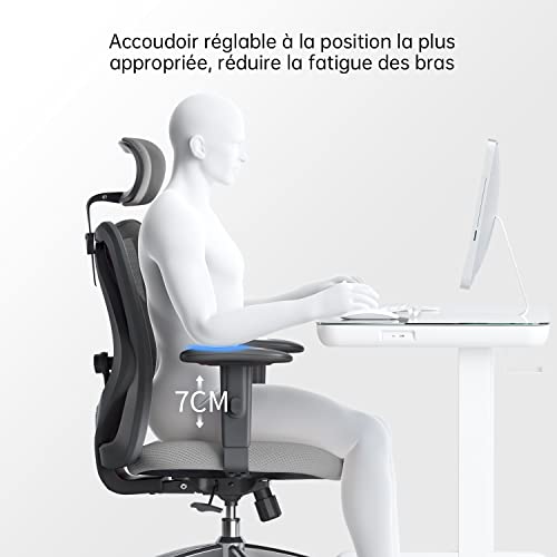 SIHOO Chaise de Bureau Ergonomique avec Appui-tête et Soutien Lombaire (Gris)