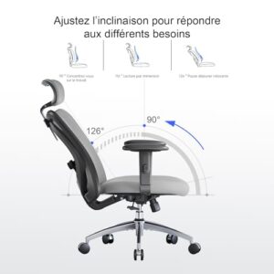 SIHOO Chaise de Bureau Ergonomique avec Appui-tête et Soutien Lombaire (Gris)
