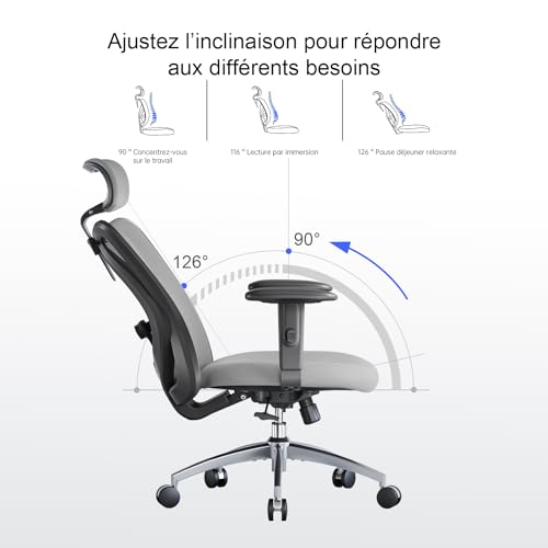 SIHOO Chaise de Bureau Ergonomique avec Appui-tête et Soutien Lombaire (Gris)