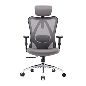 SIHOO Chaise de Bureau Ergonomique avec Appui-tête et Soutien Lombaire (Gris)