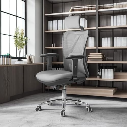 SIHOO Chaise de Bureau Ergonomique avec Appui-tête et Soutien Lombaire (Gris)